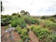 8 Cunningham Street, Shelford VIC 3329