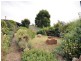 8 Cunningham Street, Shelford VIC 3329