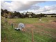 93 Common Road, Inverleigh VIC 3321