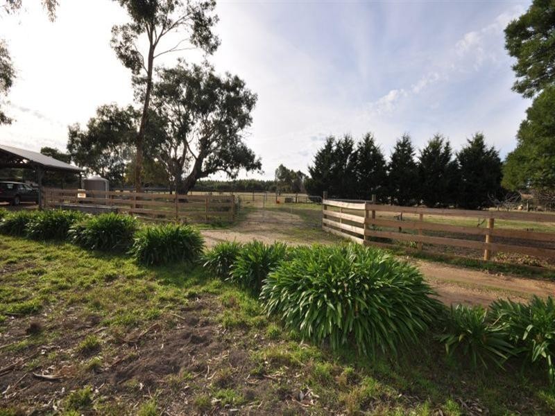 14 Cooper Street, Winchelsea VIC 3241