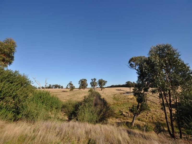 90 Dollys Creek Track, Elaine VIC 3334