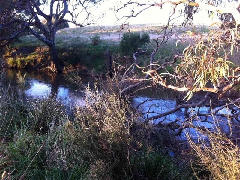 105 Rawson Road, Inverleigh VIC 3321