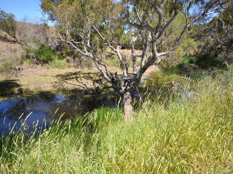 105 Rawson Road, Inverleigh VIC 3321