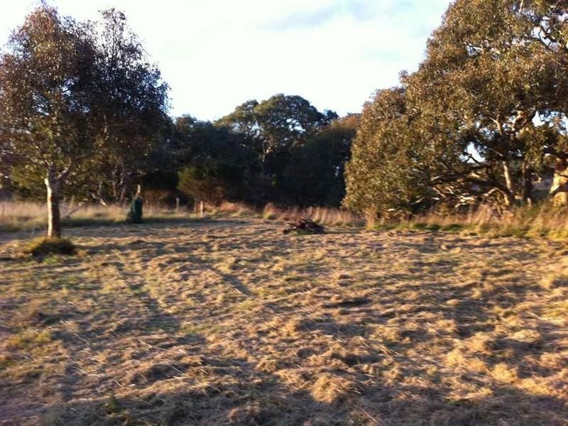 105 Rawson Road, Inverleigh VIC 3321