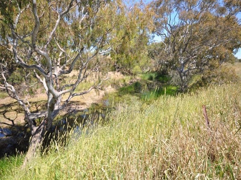 105 Rawson Road, Inverleigh VIC 3321