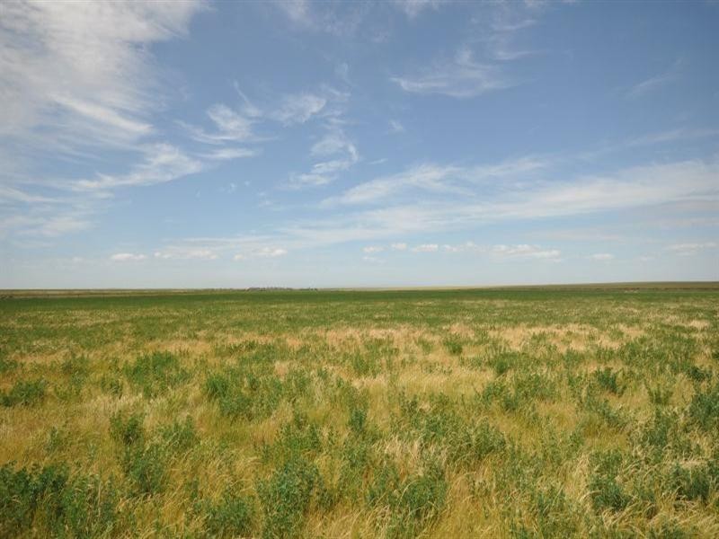 Lot 2 Tall Tree Road, Lethbridge VIC 3332