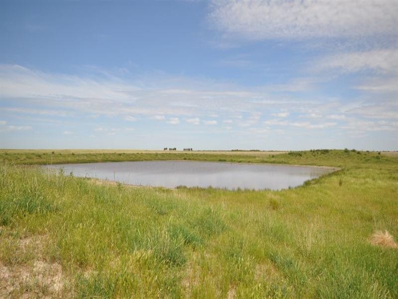 Lot 2 Tall Tree Road, Lethbridge VIC 3332