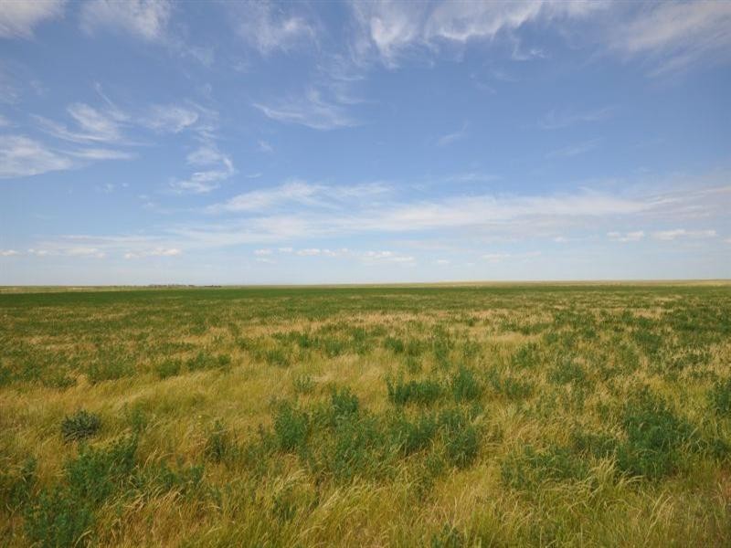 Lot 2 Tall Tree Road, Lethbridge VIC 3332