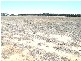 Lot 30 Warwick Way, Bannockburn VIC 3331