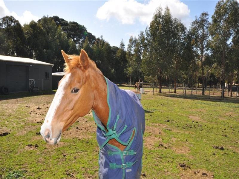 112 Tolloora Way, Batesford VIC 3221