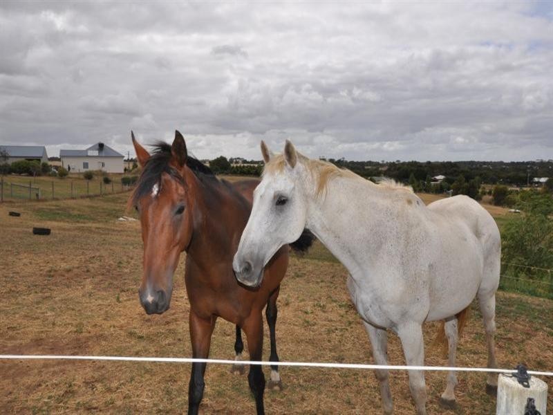 122 Bruce Street, Teesdale VIC 3328