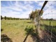 Lot 1, 142 Geelong Road, Bannockburn VIC 3331