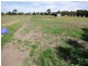 Lot 1, 142 Geelong Road, Bannockburn VIC 3331