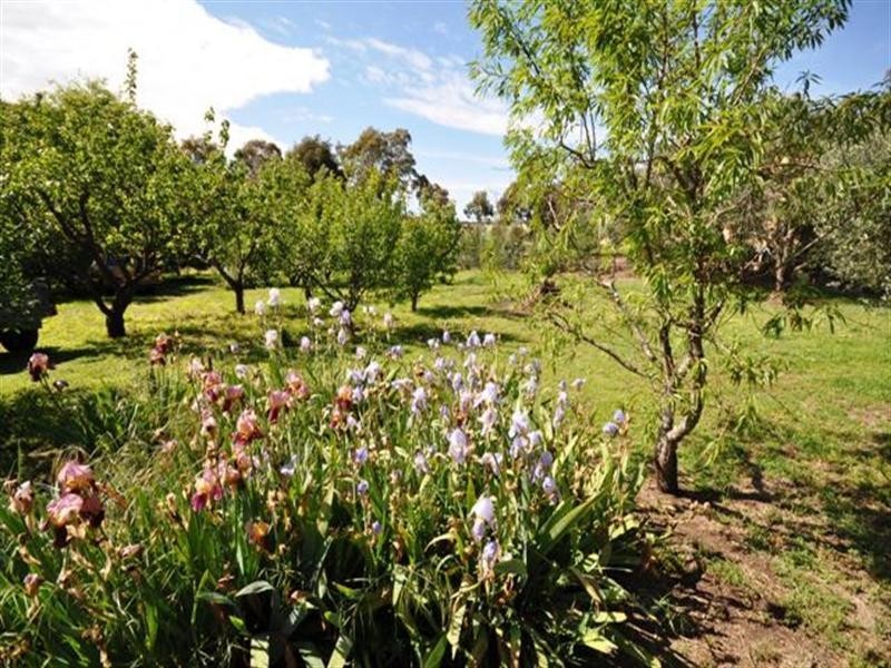 1753 Steiglitz Road, Maude VIC 3331