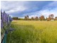 4 Glennette Court, Bannockburn VIC 3331