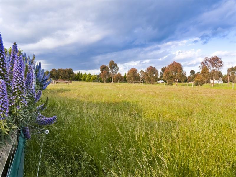 4 Glennette Court, Bannockburn VIC 3331