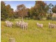 4 Glennette Court, Bannockburn VIC 3331