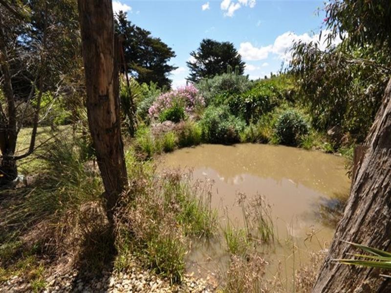 16 Sutherland Street, Meredith VIC 3333