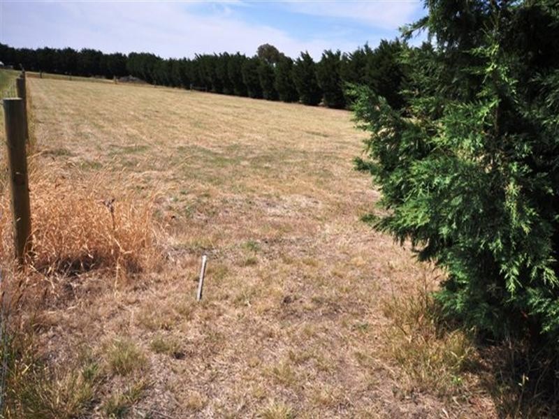 Lot 1, 29 Stevenson Road, Bannockburn VIC 3331