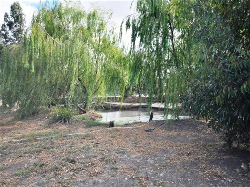 81 Inverlochy, Bannockburn VIC 3331