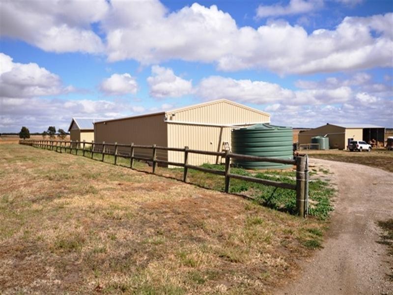 100 Phillips Lane, Winchelsea VIC 3241