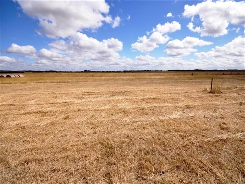 100 Phillips Lane, Winchelsea VIC 3241