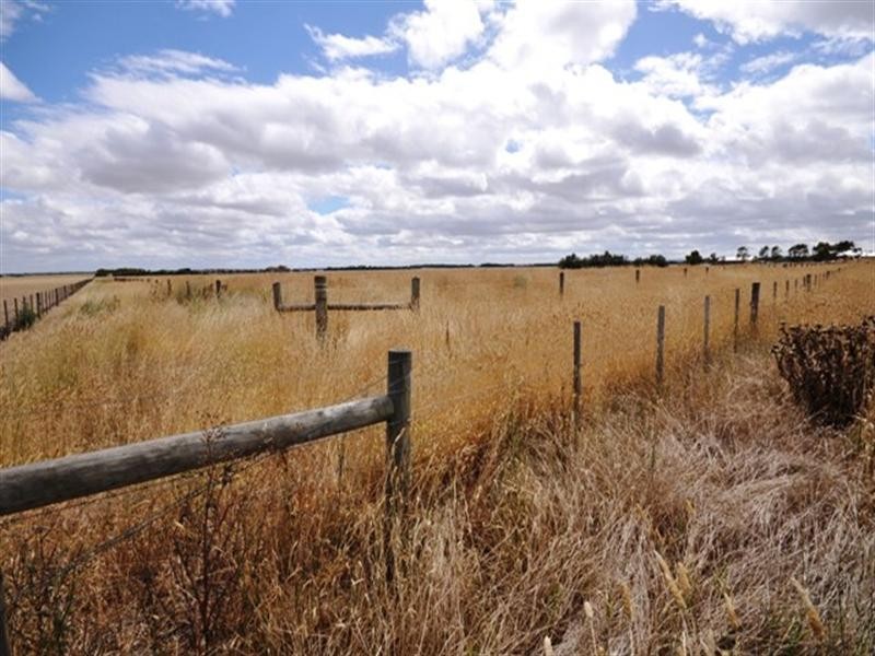 100 Phillips Lane, Winchelsea VIC 3241