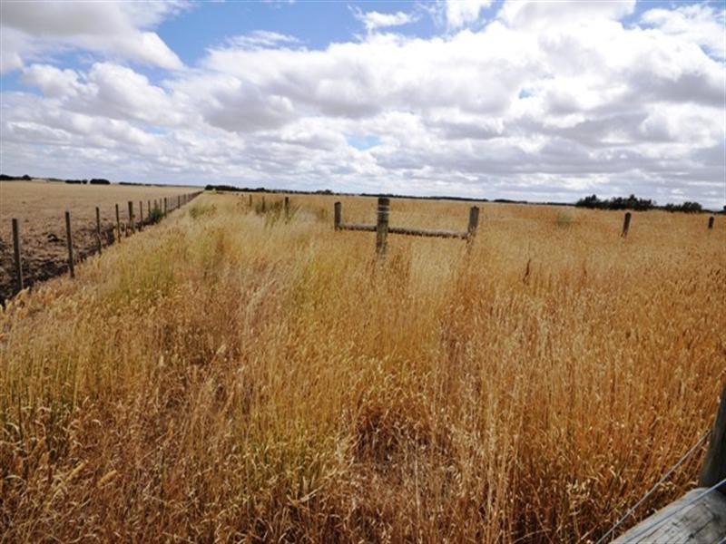 100 Phillips Lane, Winchelsea VIC 3241