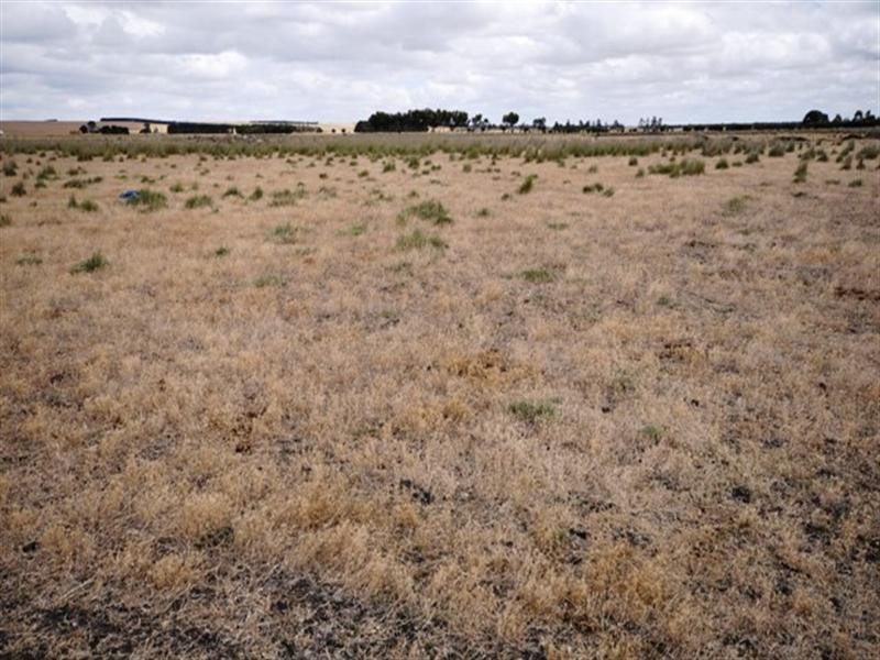 100 Phillips Lane, Winchelsea VIC 3241