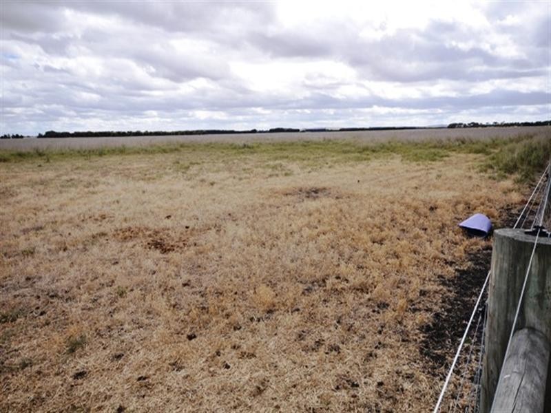 100 Phillips Lane, Winchelsea VIC 3241