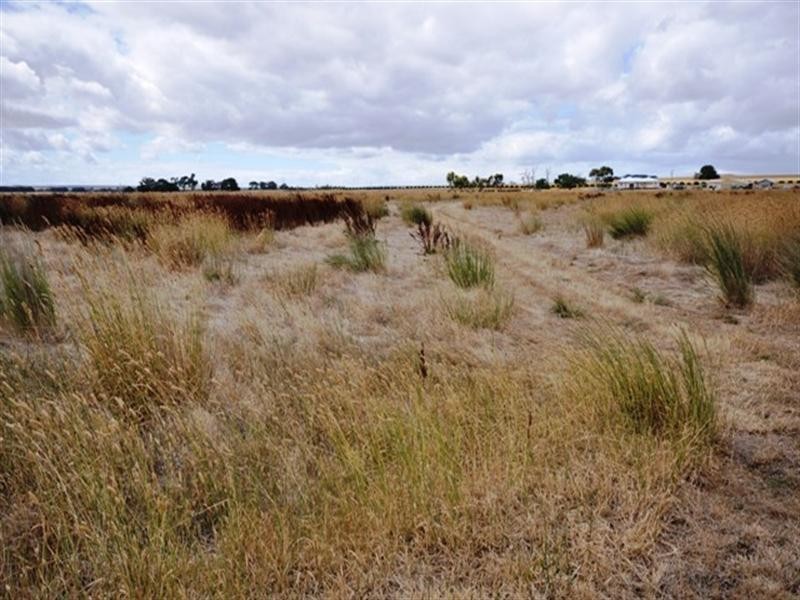 100 Phillips Lane, Winchelsea VIC 3241