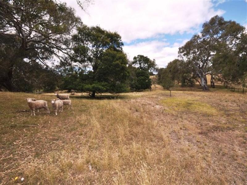 153 Common Road, Inverleigh VIC 3321