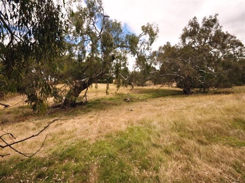 153 Common Road, Inverleigh VIC 3321