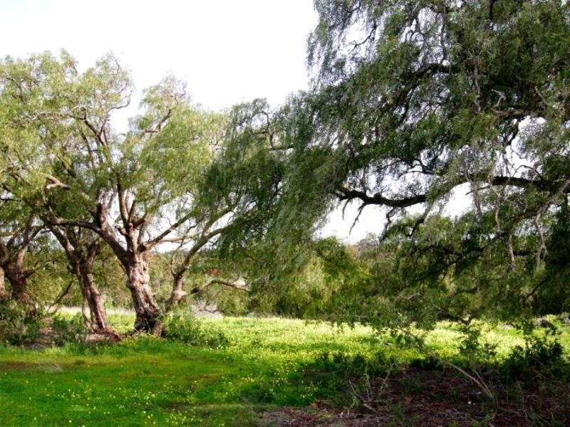 Lot 3, Stones Road, Teesdale VIC 3328