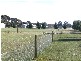 Lot 2/3 Marrabah Cresent, Teesdale VIC 3328