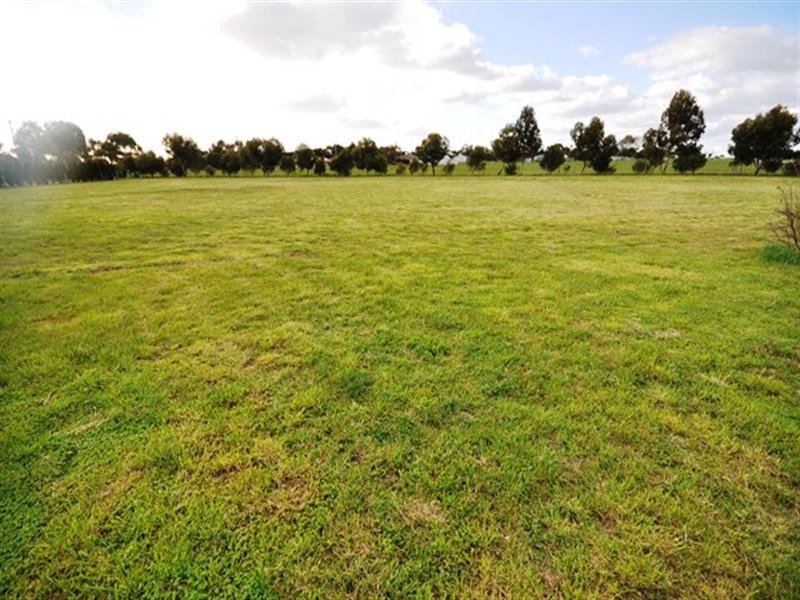 Lot 1/79 Stevenson Street, Bannockburn VIC 3331