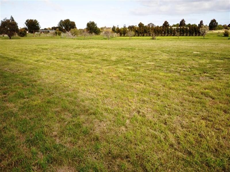 Lot 1/79 Stevenson Street, Bannockburn VIC 3331