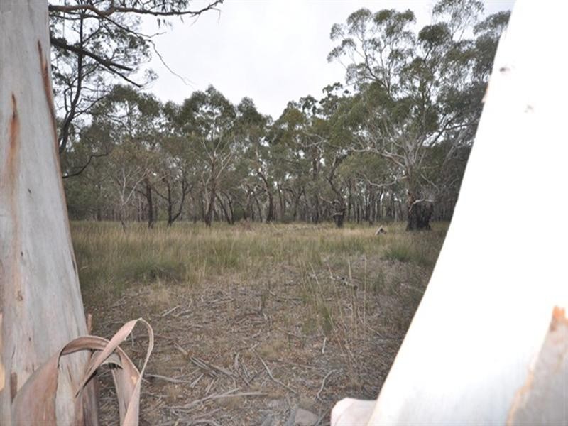 248 Browns Road, Dereel VIC 3352