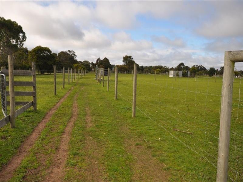 99 Redgum Drive, Teesdale VIC 3328