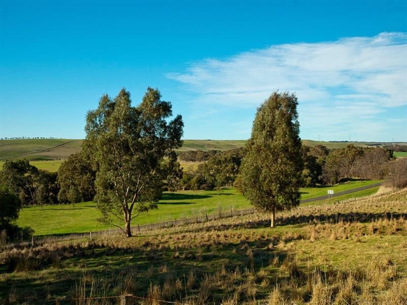 999 Inverleigh-Shelford Road, Shelford VIC 3329