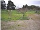 1376 Bannockburn-Shelford Road, Teesdale VIC 3328