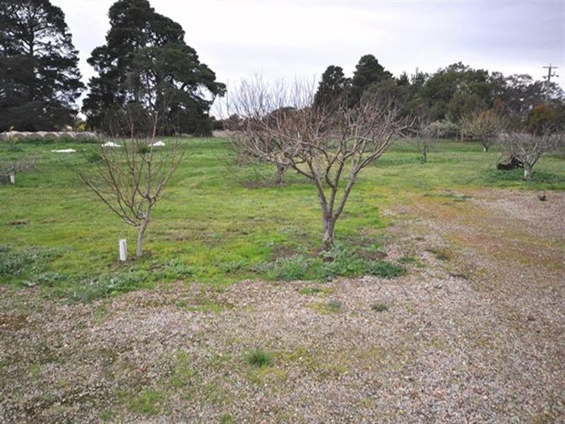 1376 Bannockburn-Shelford Road, Teesdale VIC 3328