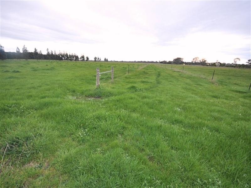 1376 Bannockburn-Shelford Road, Teesdale VIC 3328