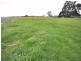1376 Bannockburn-Shelford Road, Teesdale VIC 3328