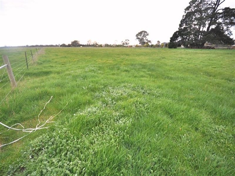 1376 Bannockburn-Shelford Road, Teesdale VIC 3328