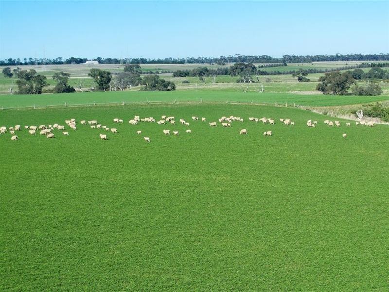 200 Sharkeys Road, Sutherlands Creek VIC 3331