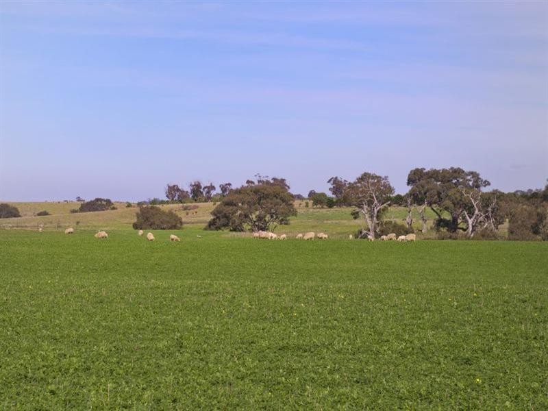 200 Sharkeys Road, Sutherlands Creek VIC 3331