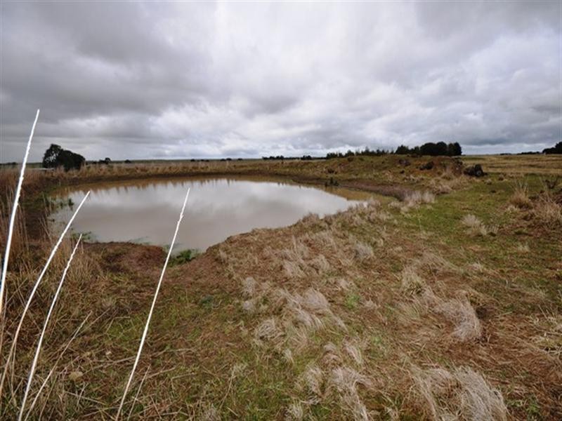 Lot 84 Meadows Road, Rokewood VIC 3330