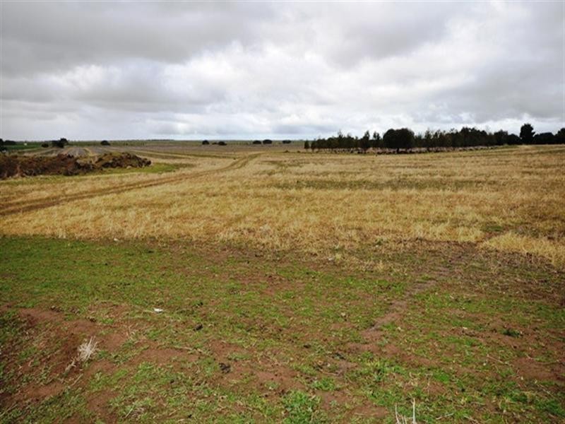 Lot 84 Meadows Road, Rokewood VIC 3330