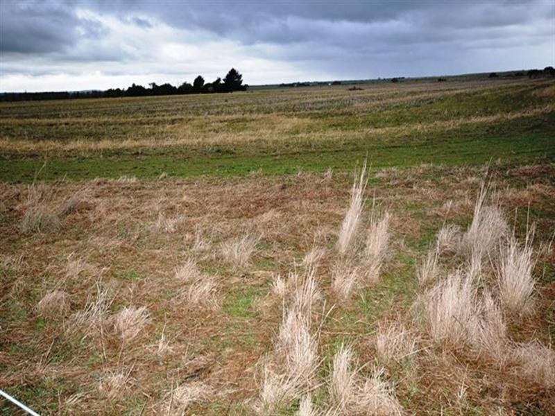 Lot 84 Meadows Road, Rokewood VIC 3330